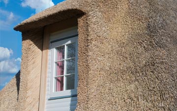 Parnacott thatch roof disadvantages